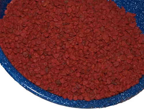 Bulk annatto seeds (achiote) — brilliant orange-red natural colorant for Latin American cooking