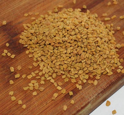 Bulk fenugreek seeds — Trigonella foenum-graecum with distinctive bitter maple-like flavor