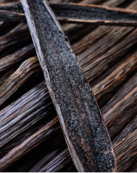Premium bulk vanilla beans — Grade A Vanilla planifolia pods with rich complex floral flavor