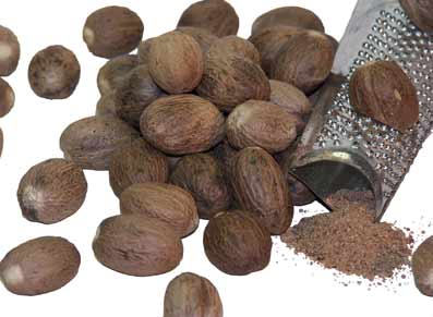 Bulk whole nutmeg — Myristica fragrans seed with warm sweet woody flavor for béchamel and baking